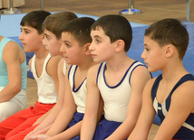 Bakıda kişi idman gimnastikası üzrə çoxnövçülükdə yarışlar başlayıb. Azərbaycan, 5 dekabr 2015